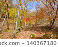 Hiking trails dyed in autumn colors in West Tanzawa 140367180