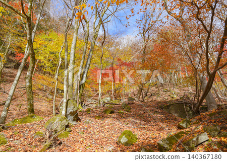 Hiking trails dyed in autumn colors in West Tanzawa Hiking trails dyed in autumn colors in West Tanzawa 140367180