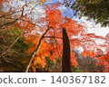 Hiking trails dyed in autumn colors in West Tanzawa 140367182