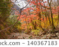 Hiking trails dyed in autumn colors in West Tanzawa 140367183