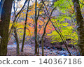 Hiking trails dyed in autumn colors in West Tanzawa 140367186