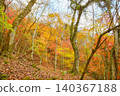 Hiking trails dyed in autumn colors in West Tanzawa 140367188