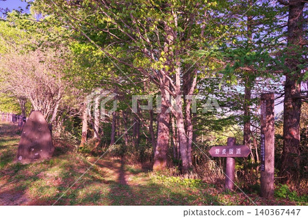 Nomugi Pass and Nomugi Road, surrounded by fresh greenery. Nomugi Pass and Nomugi Road, surrounded by fresh greenery. 140367447