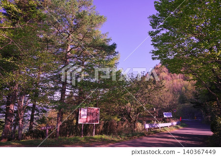 Nomugi Pass and Nomugi Road, surrounded by fresh greenery. Nomugi Pass and Nomugi Road, surrounded by fresh greenery. 140367449