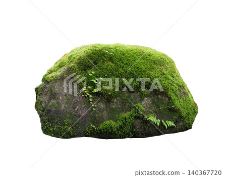 stone covered with moss isolated on white background stone covered with moss isolated on white background 140367720