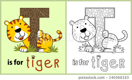 Learn to spell tiger's name, vector cartoon illustration, coloring page or book Learn to spell tiger's name, vector cartoon illustration, coloring page or book 140368183