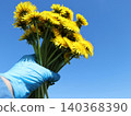 Hand in Blue Glove Holding Dandelion Bouquet Against Blue Sky 140368390