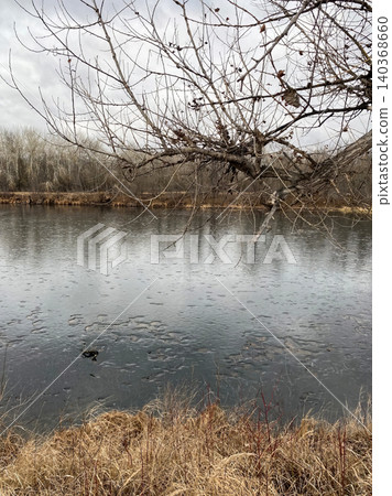 Bare tree branches over a calm river in late autumn or early spring. Bare tree branches over a calm river in late autumn or early spring. 140368660
