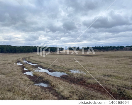 Muddy country road with puddles in a vast field under a dramatic cloudy sky. 140368694