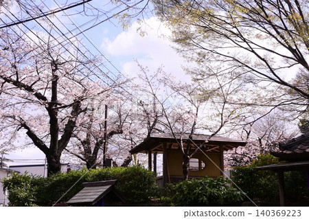 春天的千葉縣千葉市亥花公園 春天的千葉縣千葉市亥花公園 140369223