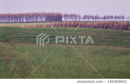Autumn pastures and windbreaks Autumn pastures and windbreaks 140369692