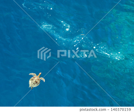 Aerial view of sea turtles and marine debris Aerial view of sea turtles and marine debris 140370159