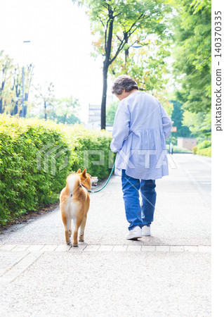 A senior woman walking her pet Shiba Inu. A senior woman walking her pet Shiba Inu. 140370335