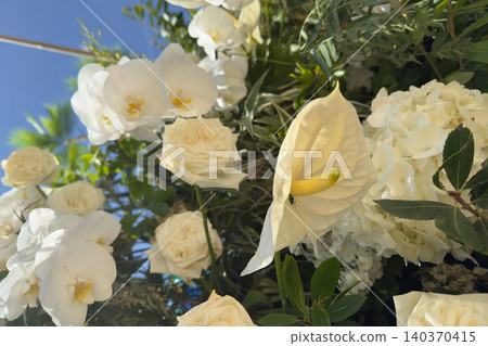 Abundant White Floral Arrangement with Orchids Anthurium and Hydrangea Abundant White Floral Arrangement with Orchids Anthurium and Hydrangea 140370415