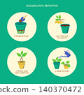 Houseplants repotting poster. Replanting a potted plant into a new pot step by step. Vector illustration. 140370472