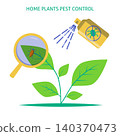 Home plants pest control banner. Insecticide spray bottle and magnifier showing a bug on a leaf. Vector illustration. 140370473