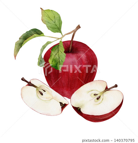 Watercolor red apple with green leaves and two sliced halves showing seeds Watercolor red apple with green leaves and two sliced halves showing seeds 140370795