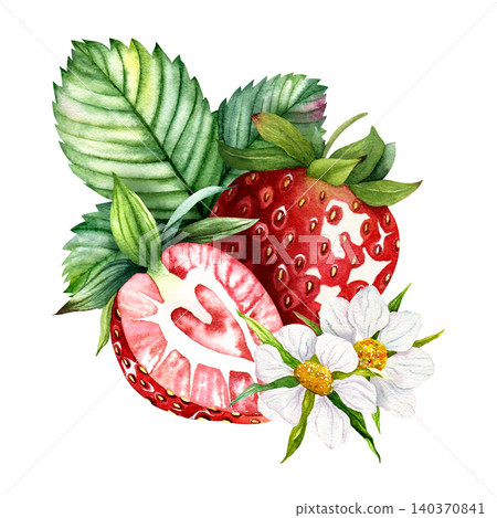Watercolor strawberry with slice flowers and leaves composition, hand painted ripe berry Watercolor strawberry with slice flowers and leaves composition, hand painted ripe berry 140370841