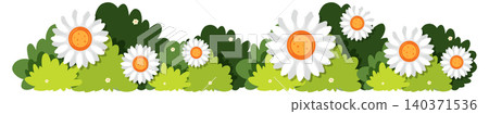 White Daisies Blooming in Lush Green Bushes Vector White Daisies Blooming in Lush Green Bushes Vector 140371536