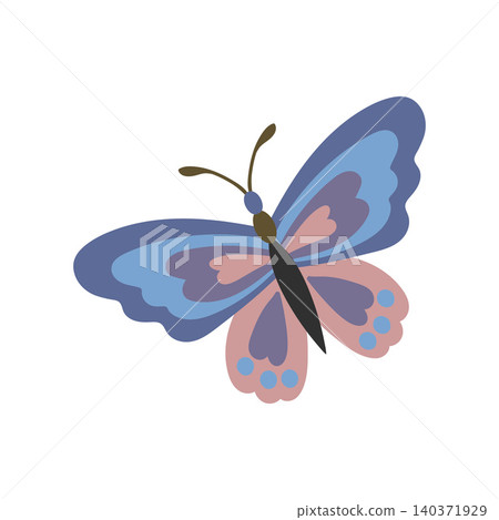 Beautiful fairytale insect vector illustration Beautiful fairytale insect vector illustration 140371929