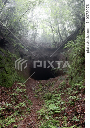 The entrance to the Oishi Tunnel in Oita Prefecture and the Rain Forest The entrance to the Oishi Tunnel in Oita Prefecture and the Rain Forest 140372078