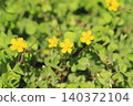 Small butterfly flowers 140372104