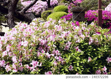 The garden of Kobe Sorakuen, a famous garden. The garden of Kobe Sorakuen, a famous garden. 140372296
