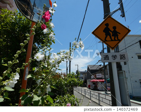 開花在路的花 開花在路的花 140372469
