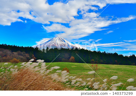 透過晨霧,從蘆葦叢中望去,富士山隱約可見。 透過晨霧,從蘆葦叢中望去,富士山隱約可見。 140373299
