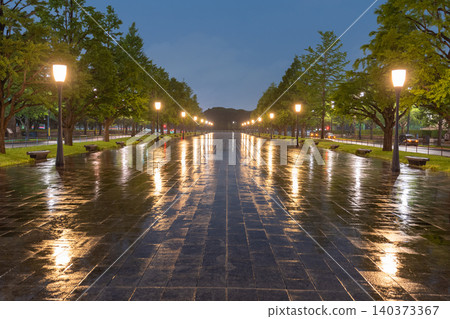 雨夜裡，東京車站的丸之內大樓燈火通明。 140373367