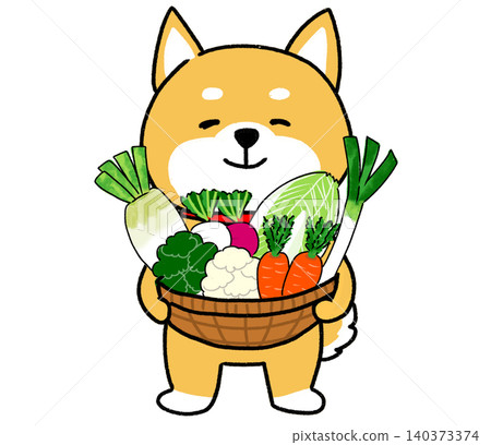 A Shiba Inu happily clutching a basket full of winter delicacies. A Shiba Inu happily clutching a basket full of winter delicacies. 140373374