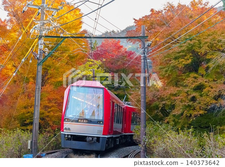 Hakone Tozan Railway and Autumn Leaves Hakone Tozan Railway and Autumn Leaves 140373642