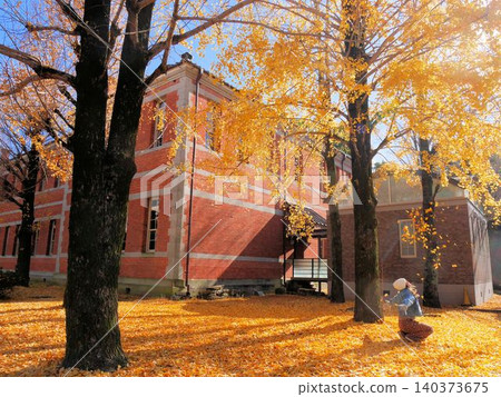 Autumn at the Fifth High School Memorial Hall: Ginkgo leaves in autumn colors Autumn at the Fifth High School Memorial Hall: Ginkgo leaves in autumn colors 140373675