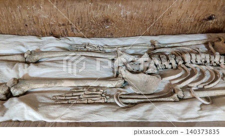 Harappan excavation remains of ancient worker from Pakistan heritage Harappan excavation remains of ancient worker from Pakistan heritage 140373835