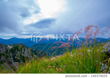 Alpine grasslands and wildflowers of Tateyama. *Miyama-no-gariyasu* (a type of wildflower). Alpine grasslands and wildflowers of Tateyama. *Miyama-no-gariyasu* (a type of wildflower). 140374035