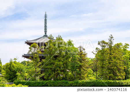 【奈良縣】斑鳩町堀林寺(攝於2026年5月26日) 【奈良縣】斑鳩町堀林寺(攝於2026年5月26日) 140374116