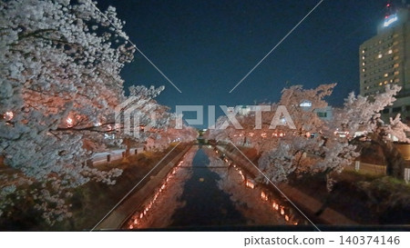 Illuminated cherry blossoms at night Illuminated cherry blossoms at night 140374146