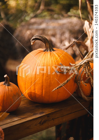 Rustic Fall Pumpkins on Wooden Bench Rustic Fall Pumpkins on Wooden Bench 140374393