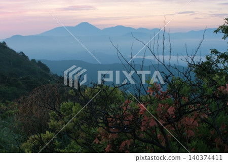 In early summer, the Takabocchi Plateau in Shiojiri City, Nagano Prefecture, becomes shrouded in mist when the morning chill sets in, creating a fantastical scene with the red blossoms of the Rhododendron molle. In early summer, the Takabocchi Plateau in Shiojiri City, Nagano Prefecture, becomes shrouded in mist when the morning chill sets in, creating a fantastical scene with the red blossoms of the Rhododendron molle. 140374411