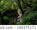 Martvili Canyon in Georgia surrounded by grass and mossy trees 140375171