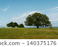 A tree grows on a grassy hill under a bright blue sky. An autumn landscape as a computer screensaver 140375176