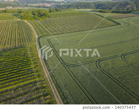 Aerial view separating vineyards and green field in Czechia Aerial view separating vineyards and green field in Czechia 140375437