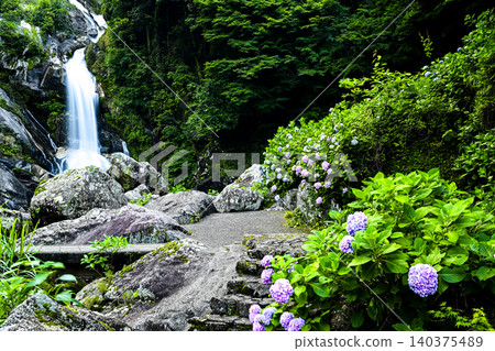 The Waterfall of Looking Back and Hydrangeas The Waterfall of Looking Back and Hydrangeas 140375489