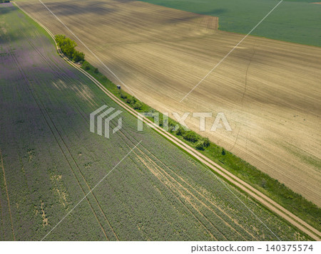 Rural landscape showing fields divided by dirt track Rural landscape showing fields divided by dirt track 140375574