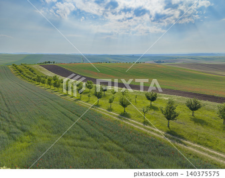 Rolling agricultural fields and trees lining dirt path in Czechia Rolling agricultural fields and trees lining dirt path in Czechia 140375575