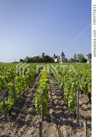 Bordeaux vineyard rows leading to a historic chateau 140375615