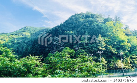 A local train running through fresh greenery A local train running through fresh greenery 140375670
