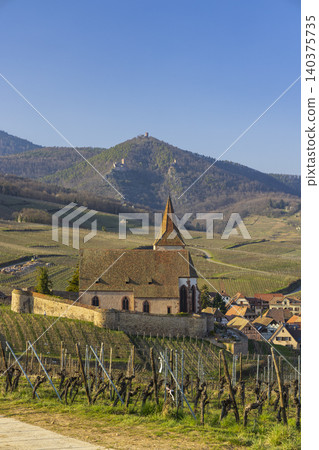 Fortified Eglise Sainte Hune Church and vineyards in Hunawihr, France Fortified Eglise Sainte Hune Church and vineyards in Hunawihr, France 140375735