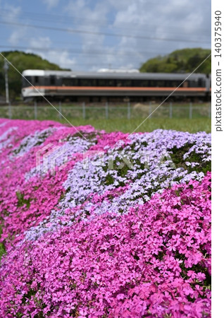Moss phlox blooming along the Chuo Main Line and the 383 series Shinano train. 140375940