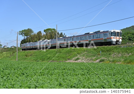 A KiHa 25 series train passes by a carrot field. 140375941